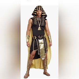 Mens king of Egypt halloween costume